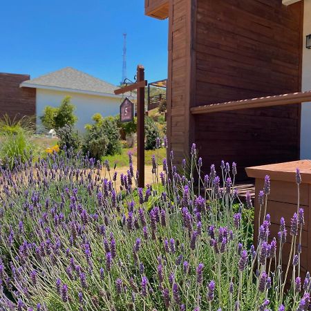 Entrevalle Hotel Boutique Valle de Guadalupe Ngoại thất bức ảnh