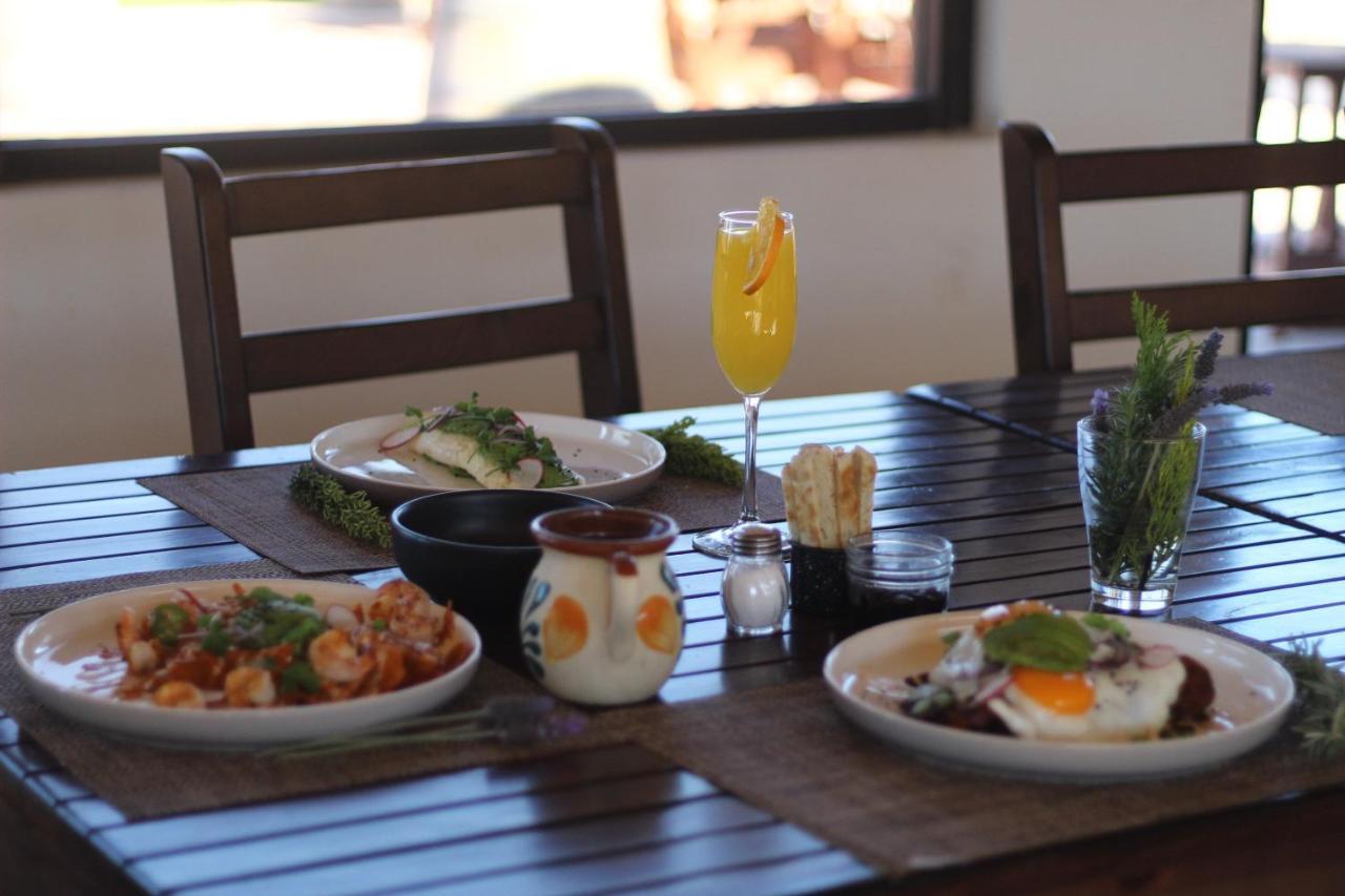 Entrevalle Hotel Boutique Valle de Guadalupe Ngoại thất bức ảnh