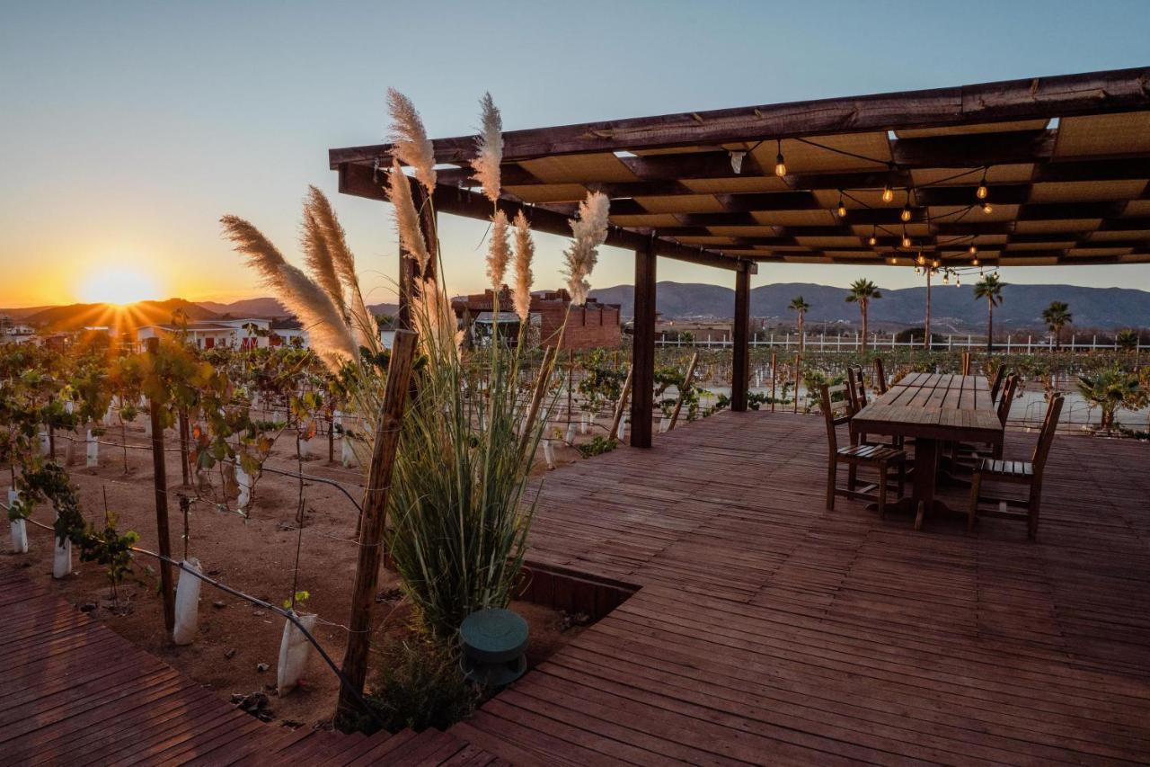 Entrevalle Hotel Boutique Valle de Guadalupe Ngoại thất bức ảnh
