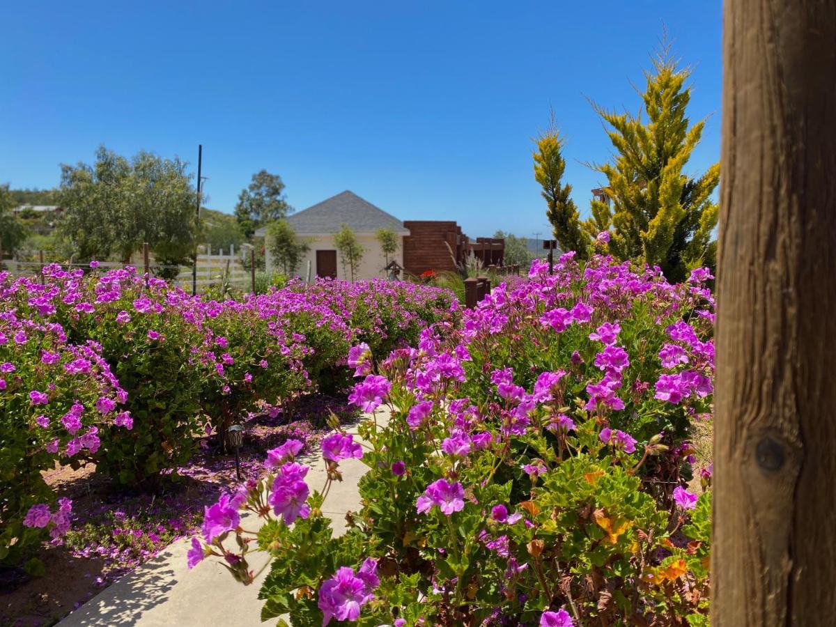 Entrevalle Hotel Boutique Valle de Guadalupe Ngoại thất bức ảnh