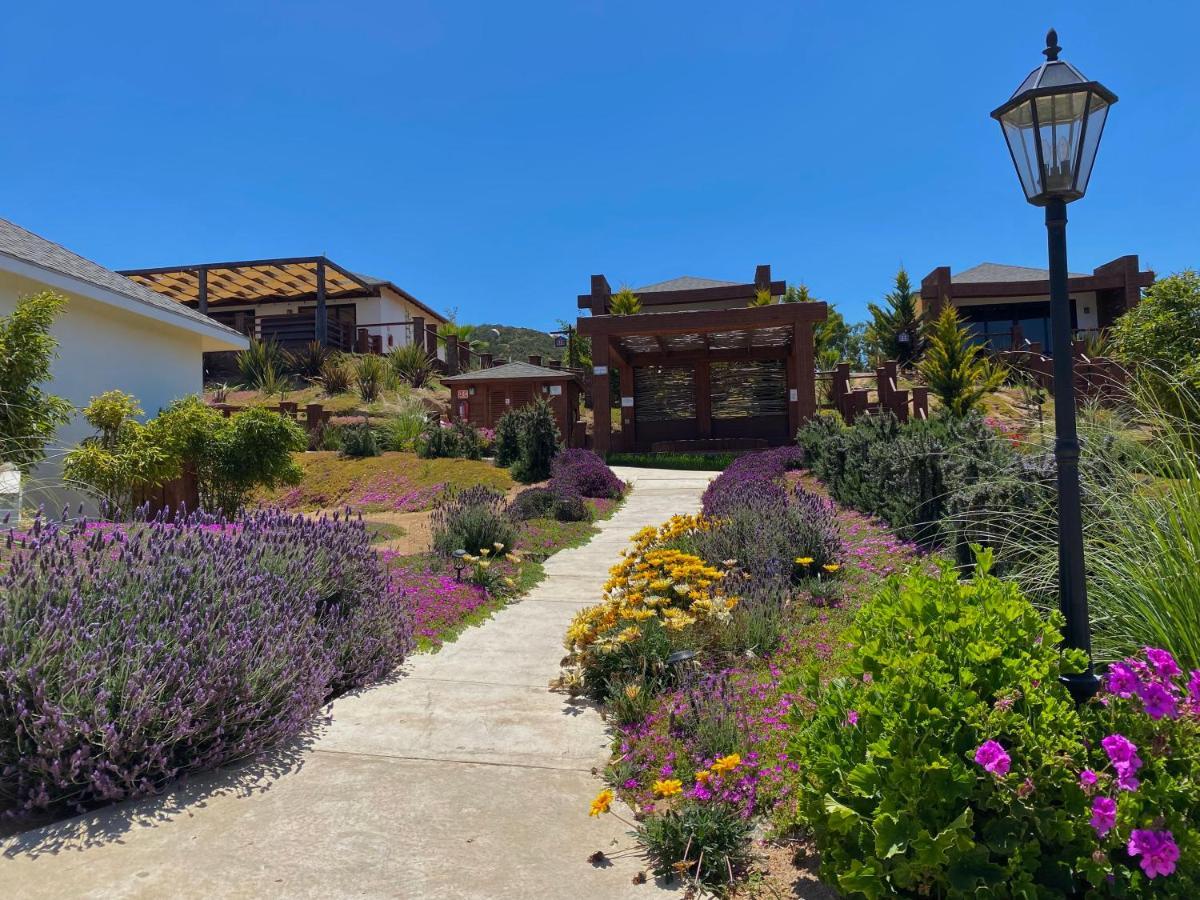 Entrevalle Hotel Boutique Valle de Guadalupe Ngoại thất bức ảnh