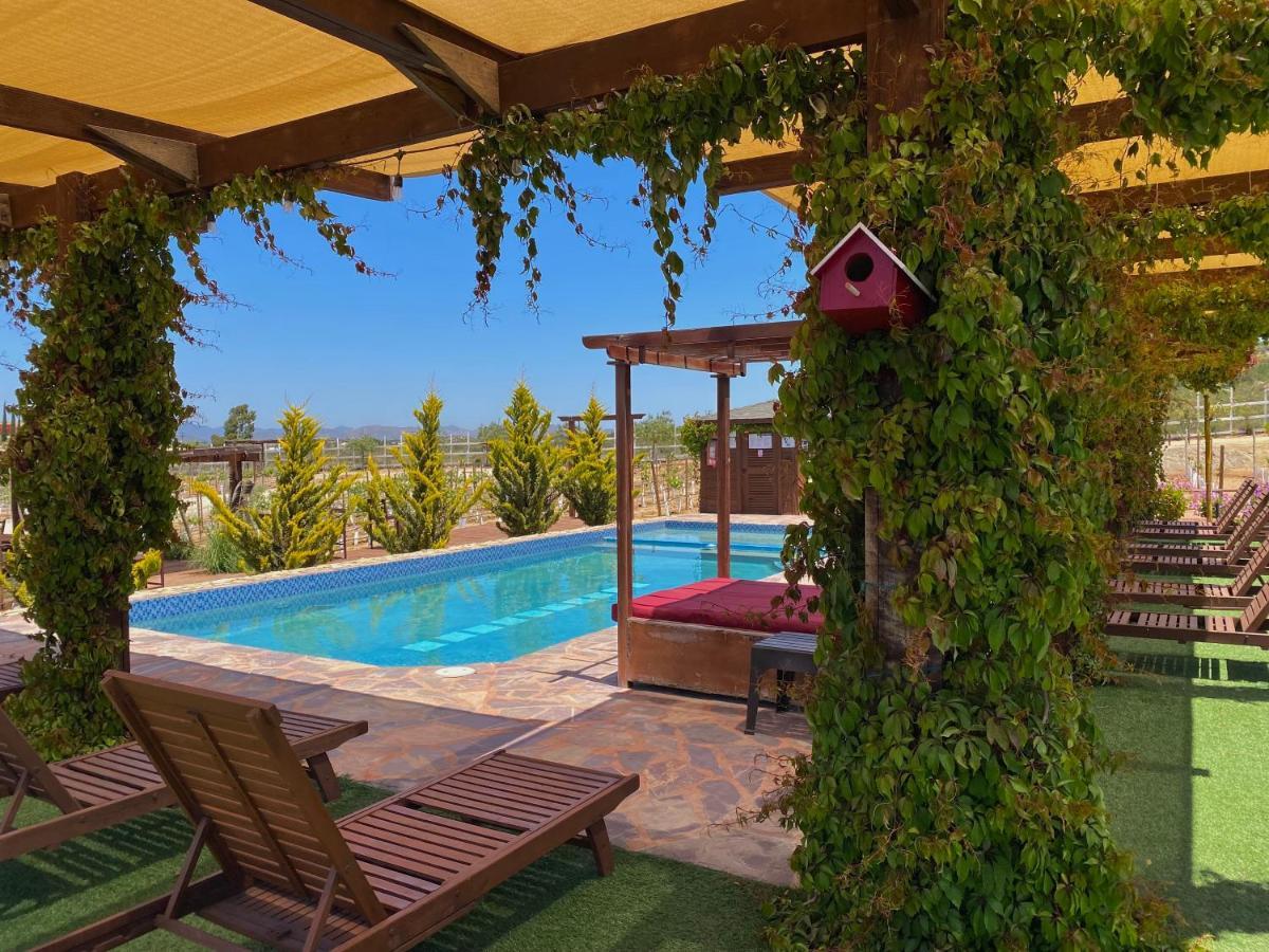 Entrevalle Hotel Boutique Valle de Guadalupe Ngoại thất bức ảnh