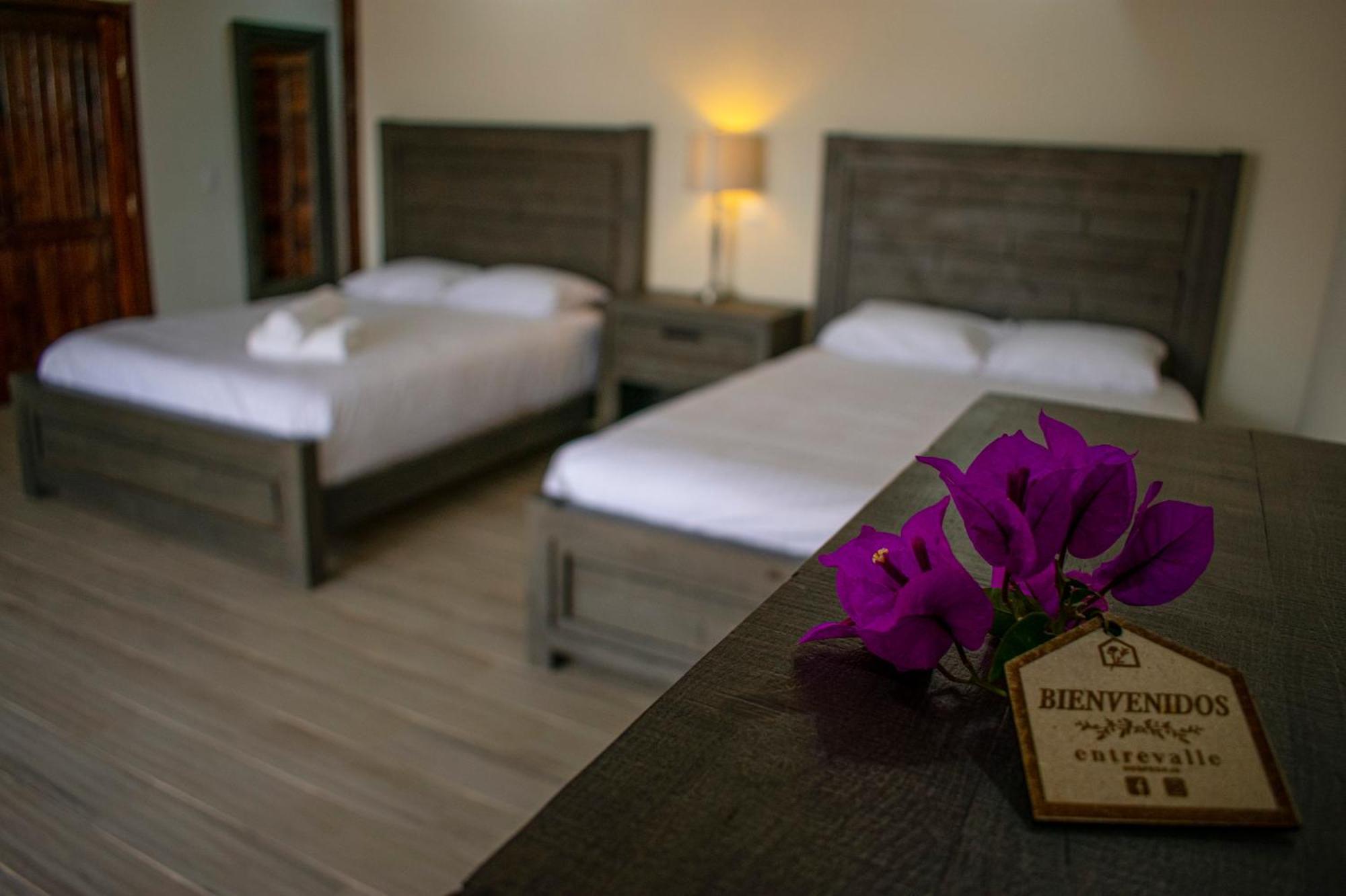 Entrevalle Hotel Boutique Valle de Guadalupe Phòng bức ảnh